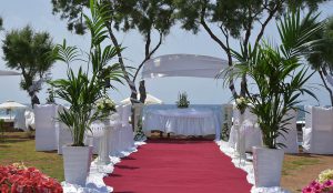 Wedding red carpet